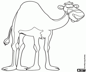 A camel resting coloring page