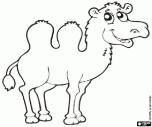 Camel coloring page