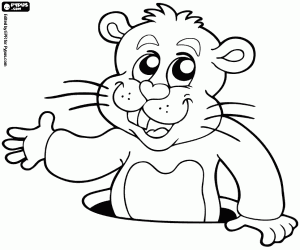 A Canadian Groundhog coloring page