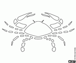 Cancer, sign of horoscope coloring page
