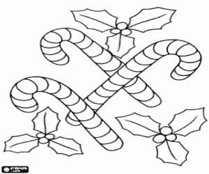 Candy canes and holly sprigs coloring page