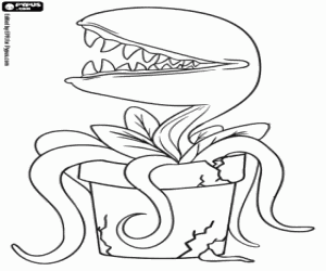 A carnivorous plant coloring page