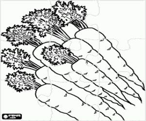 Carrots puzzle coloring page