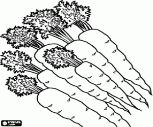 Carrots coloring page