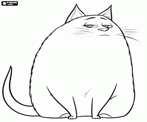The cat Chloe coloring page