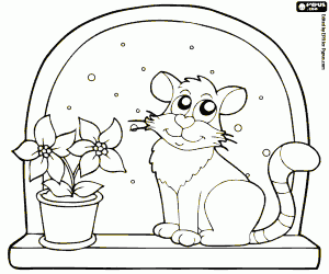 The cat and the Christmas flower coloring page