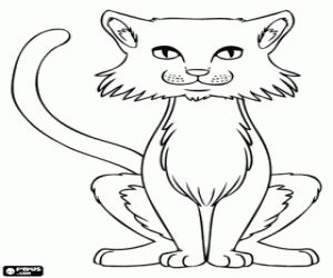 A cat, front view coloring page