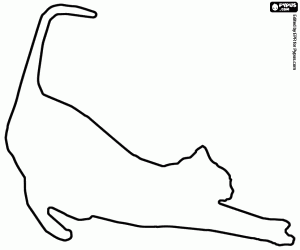Cat silhouette in stretch coloring page