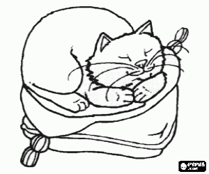 The cat sleeps on the cushion coloring page