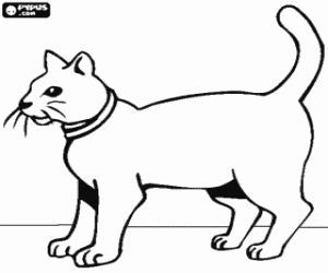 Cat with necklace coloring page