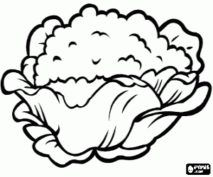 Cauliflower, an annual plant coloring page