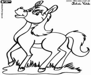 The cheerful young horse coloring page