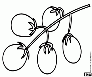 Cherry tomatoes in branch coloring page