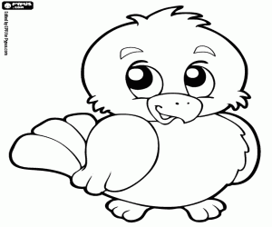 The chick, a baby of chicken coloring page