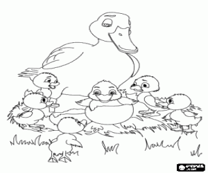 The chick comes out the egg coloring page