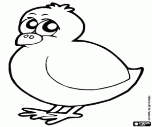 Chick coloring page