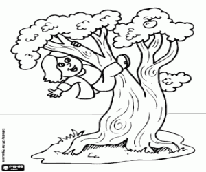 A child climbs a tree coloring page