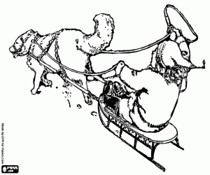 Child on a sled with a husky coloring page