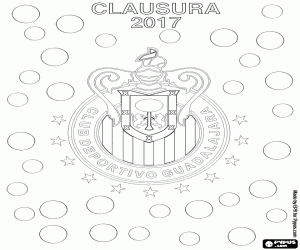 Chivas, Clausura 2017 champion coloring page