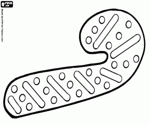 Christmas cookie as candy cane coloring page