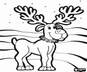 Christmas reindeer in the night coloring page