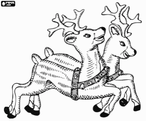Christmas reindeers in the forest coloring page
