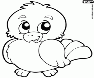 Chubby chick coloring page