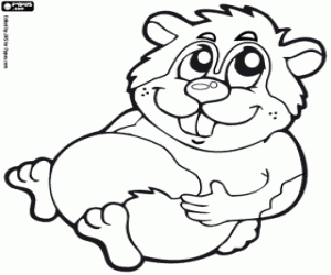 Chubby hamster coloring page