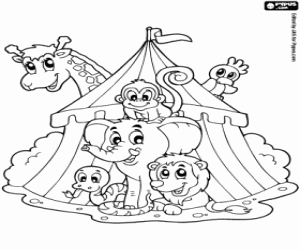 Circus animals coloring page
