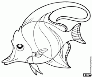 Clown fish, fish from warmer waters coloring page