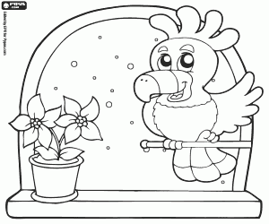 The cockatoo and a Christmas flower coloring page