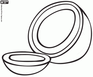 A coconut opened coloring page