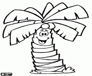 Coconut palm,palm tree with coconuts coloring page