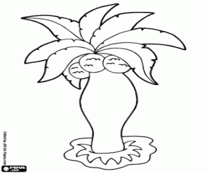 Coconut palm coloring page