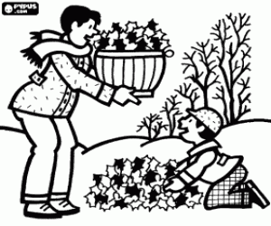 Collection of dry leaves in autumn coloring page