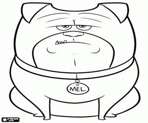 A companion dog, Mel coloring page
