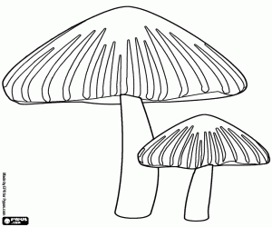 Cone shaped poisonous mushrooms coloring page