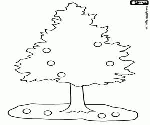 A cone-shaped tree with fruits coloring page
