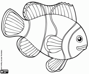 Coralfish with long dorsal fin coloring page