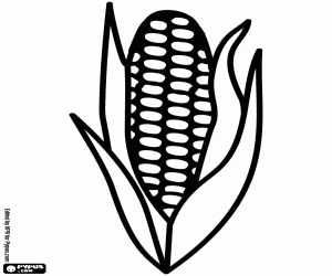 A corn cob, a cereal coloring page