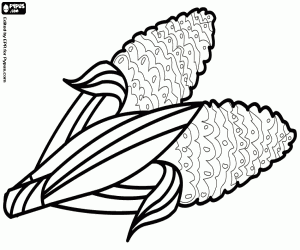 The corn on the cob, Thanksgiving coloring page