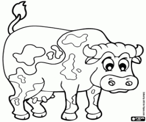 Cow coloring page