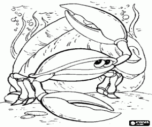 Crab on the seabed coloring page