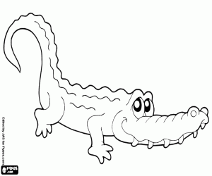 Crocodile, a reptile coloring page