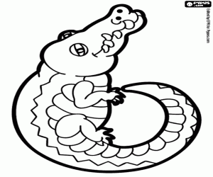 Crocodile and its tail, number 6 coloring page