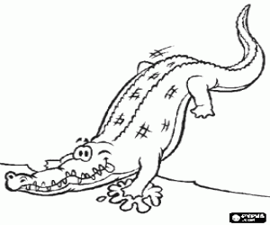 Crocodrile or alligator going into the river coloring page