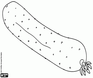 A cucumber, Cucumis sativus coloring page