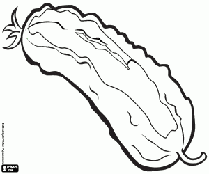 The cucumber is very moisturizing coloring page