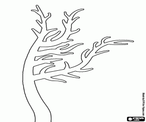 Curious tree without leaves coloring page