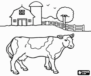 The dairy cow and the farm coloring page